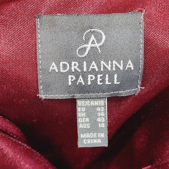 ADRIANNA Papell Asymmetrical Brick Red Crinkled Midi Sheath Dress Size: 10 - Picture 10 of 13